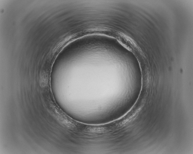 X0000067870833200604171222