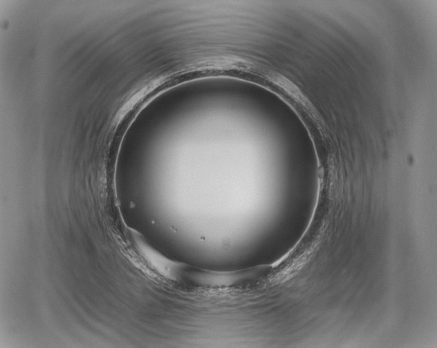 X0000067870834200604171222