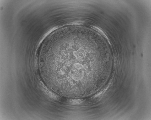 X0000067870835200604171222