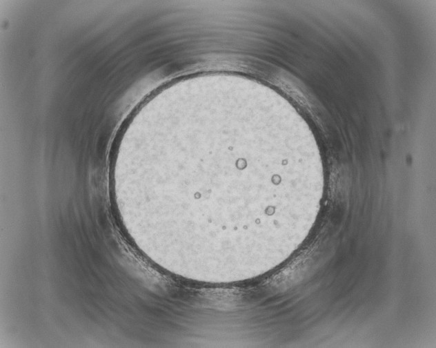 X0000067870836200604171222