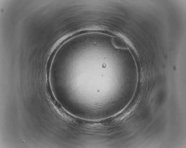 X0000067870837200604171222