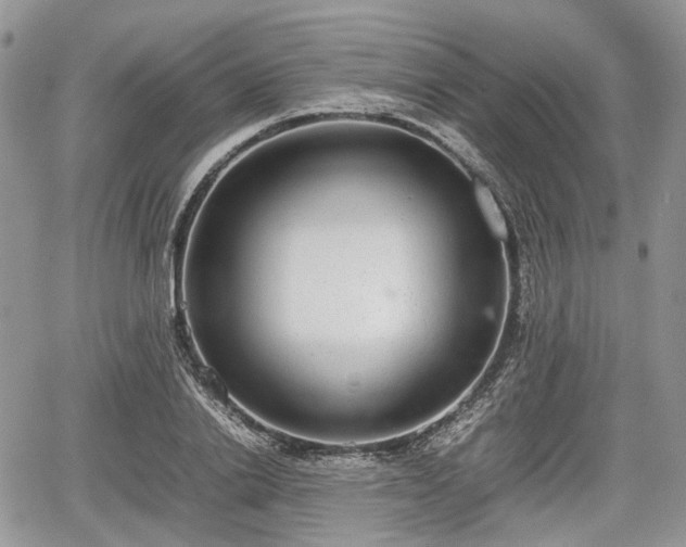 X0000067870838200604171222