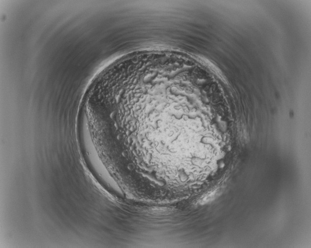 X0000067870839200604171222