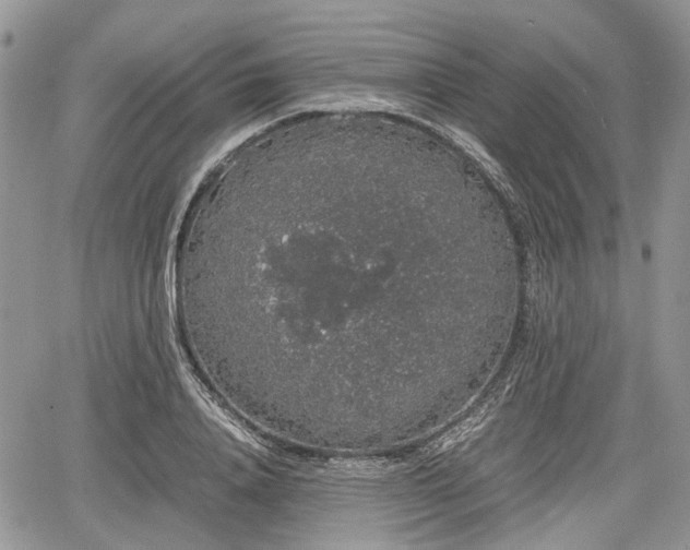 X0000067870840200604171222