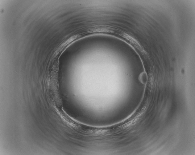 X0000067870841200604171222