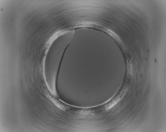 X0000067870842200604171222