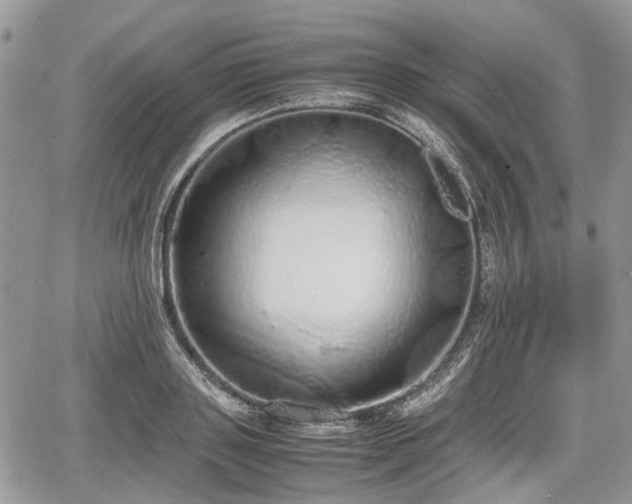 X0000067870843200604171222