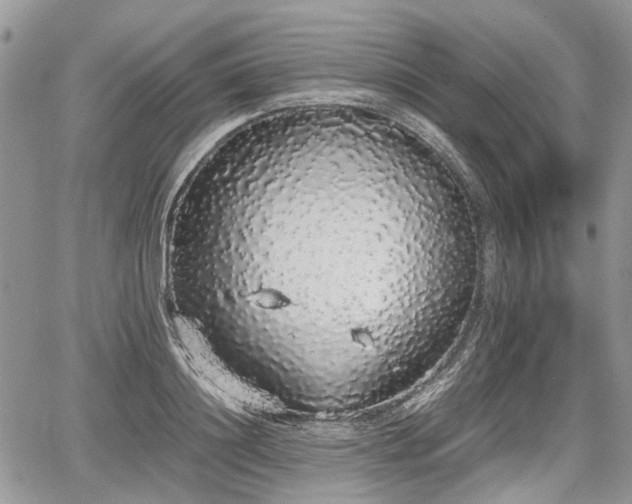 X0000067870844200604171222