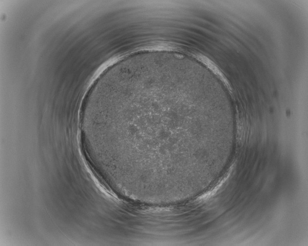 X0000067870845200604171222