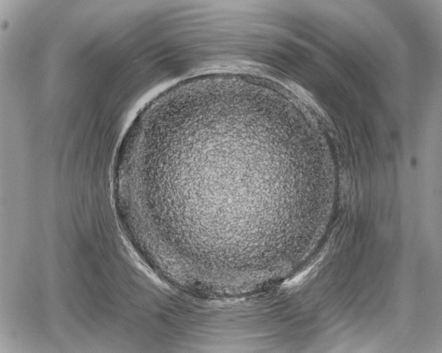 X0000067870846200604171222