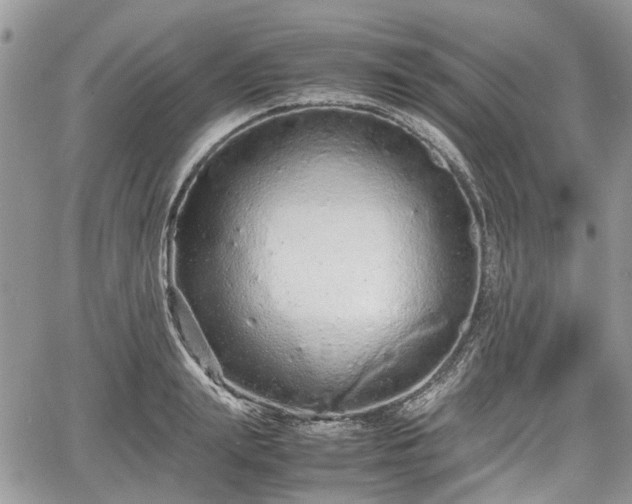 X0000067870847200604171222