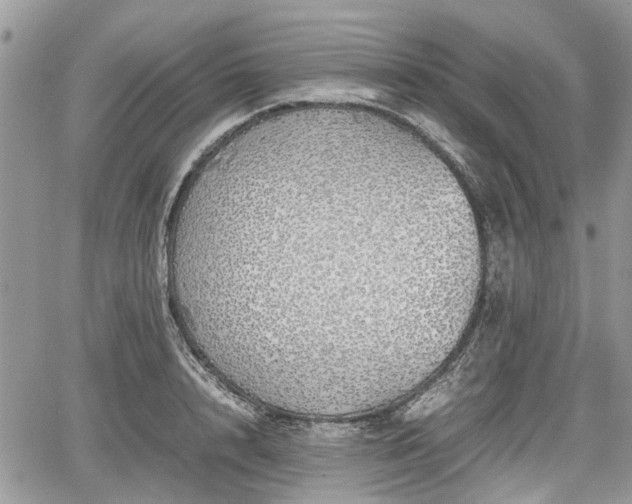 X0000067870848200604171222