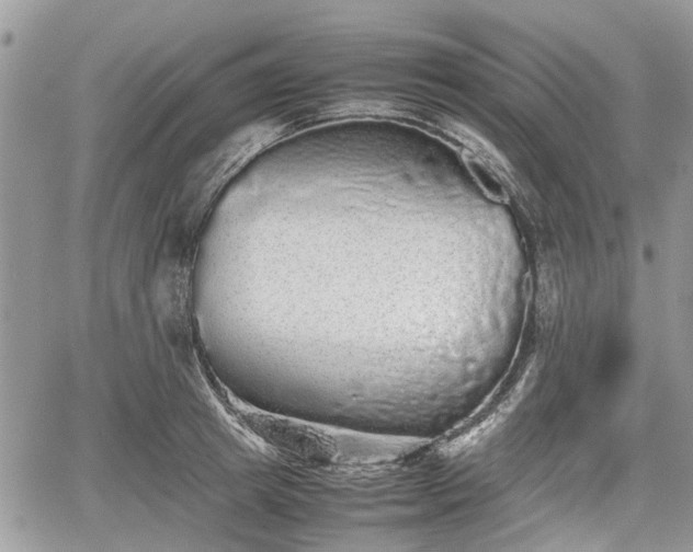 X0000067870849200604171222