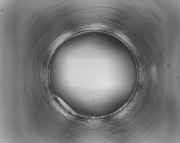 X0000067870850200604171222