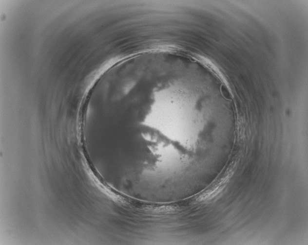 X0000067870851200604171222