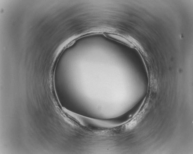 X0000067870854200604171222