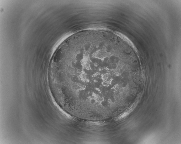 X0000067870855200604171222