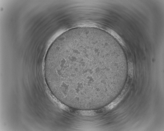 X0000067870856200604171222