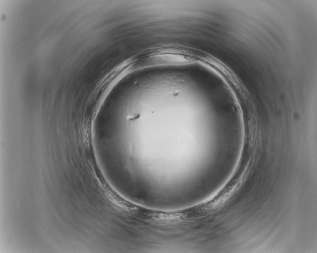 X0000067870857200604171222