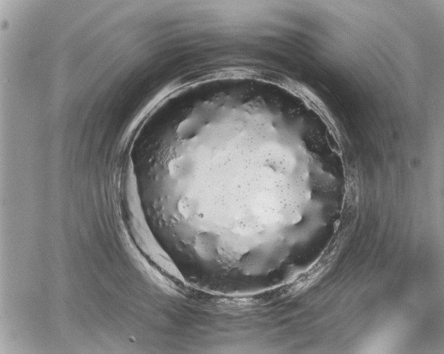 X0000067870859200604171222