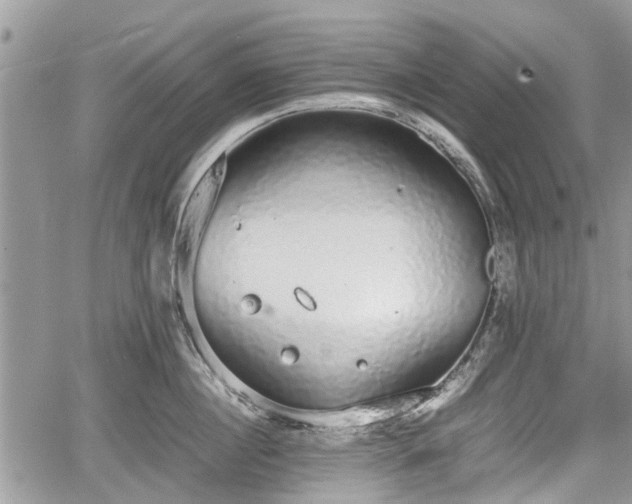 X0000067870860200604171222