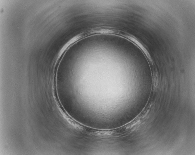 X0000067870861200604171222