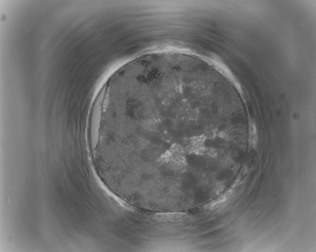 X0000067870863200604171222