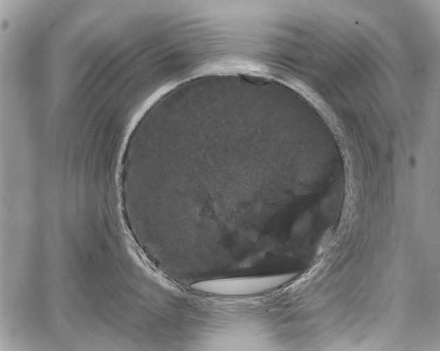 X0000067870864200604171222