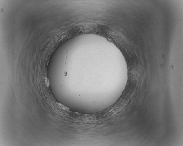 X0000067870865200604171222