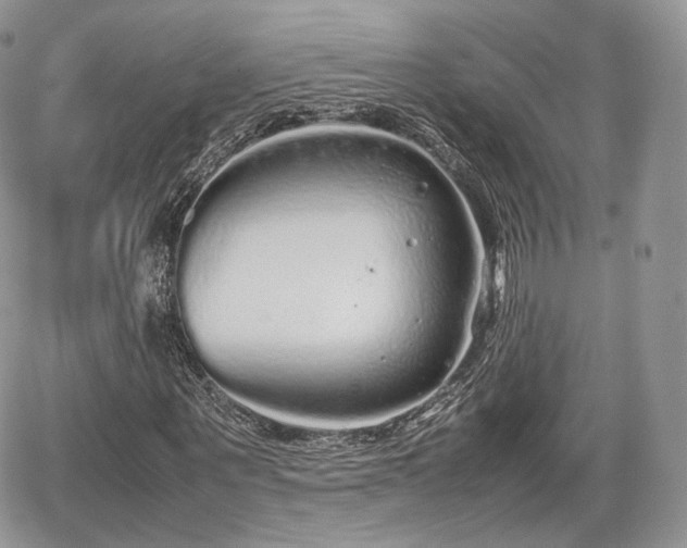 X0000067870867200604171222