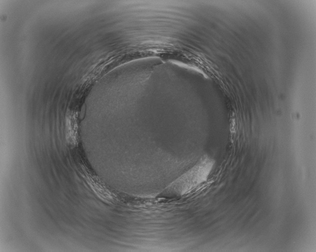 X0000067870868200604171222