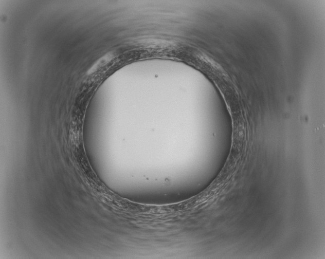 X0000067870869200604171222