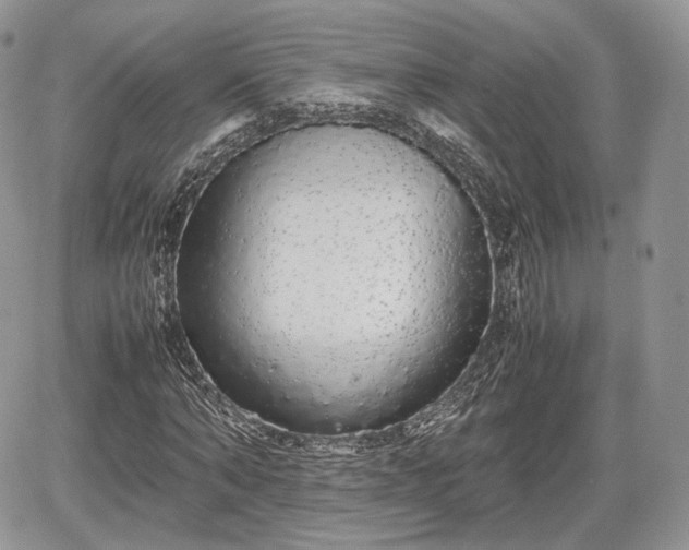 X0000067870870200604171221