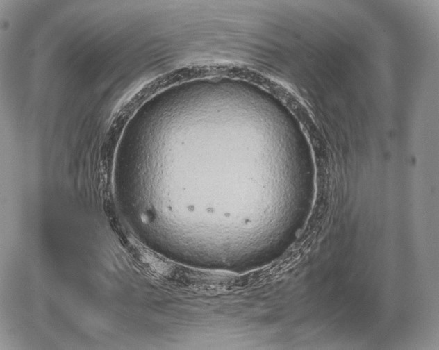 X0000067870871200604171221