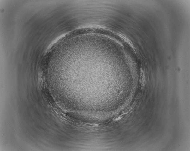 X0000067870872200604171221