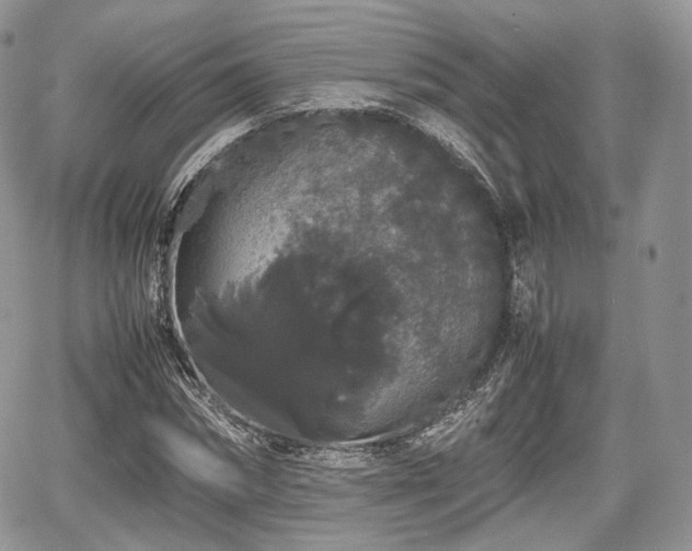 X0000067870874200604171221