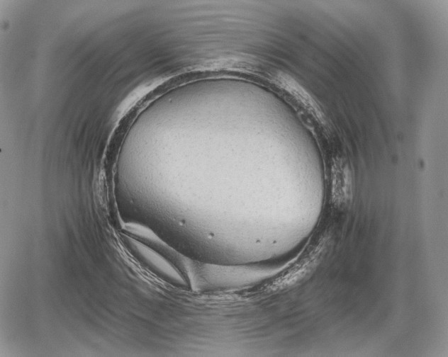 X0000067870876200604171221