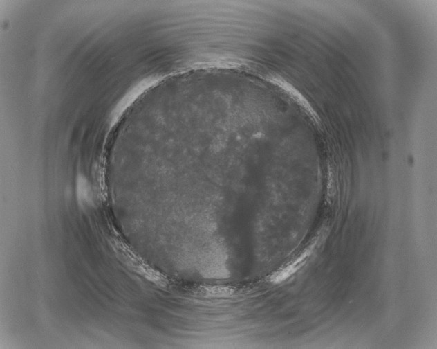 X0000067870878200604171221