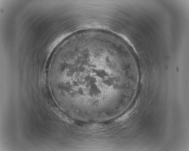 X0000067870879200604171221