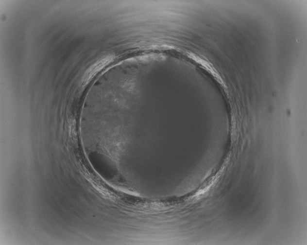 X0000067870881200604171221