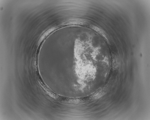 X0000067870882200604171221