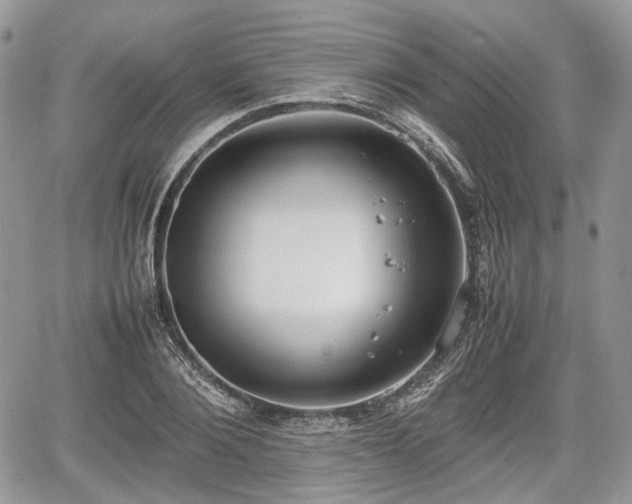 X0000067870884200604171221