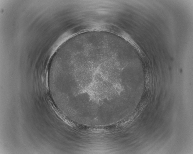 X0000067870886200604171221