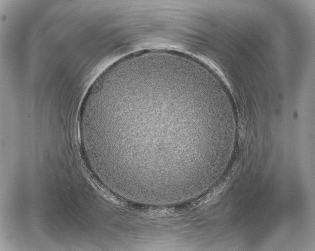 X0000067870887200604171221