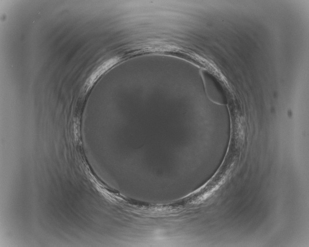 X0000067870889200604171221