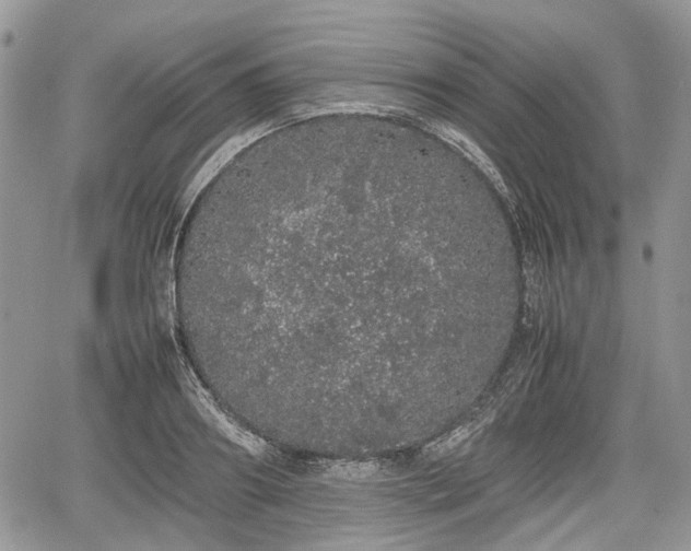 X0000067870890200604171221