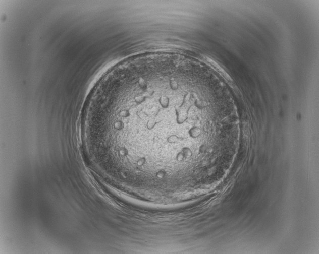 X0000067870891200604171221