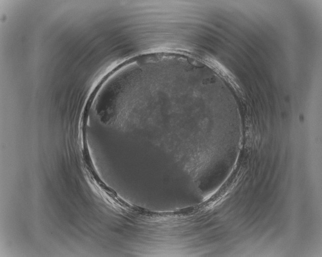 X0000067870892200604171221