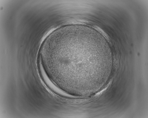 X0000067870893200604171221