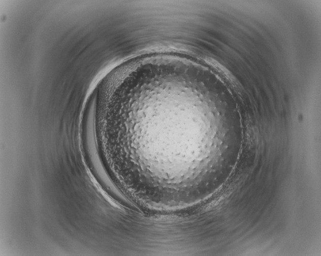 X0000067870894200604171221